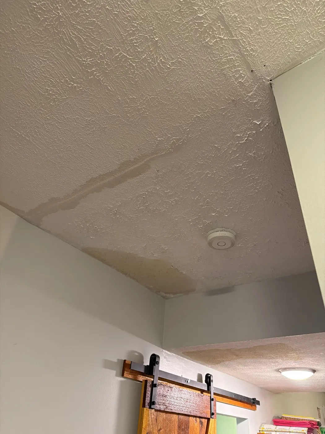 Thermal imaging during water damage assessment in New Palestine residence