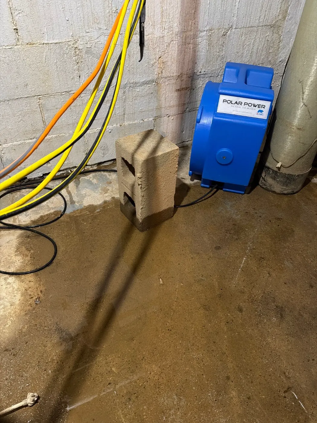 Basement water extraction in New Palestine Indiana home